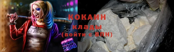 таблы Козельск