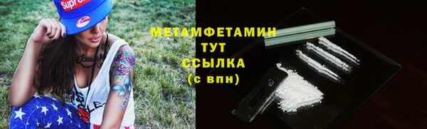прущие грибы Козловка