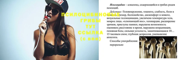 таблы Козельск