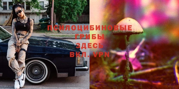 прущие грибы Козловка