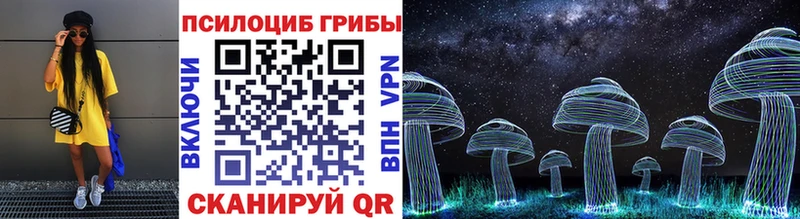 Галлюциногенные грибы Cubensis  Ессентукская 